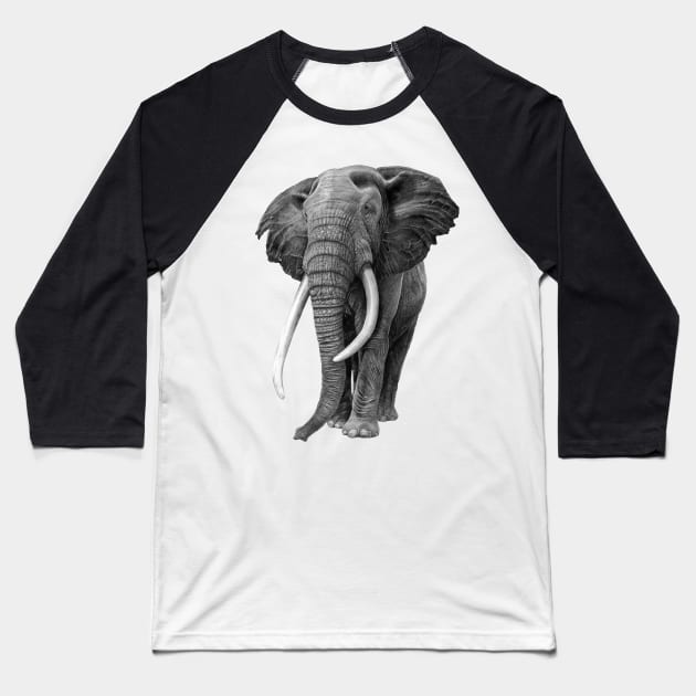 Bull elephant - Drawing in pencil Baseball T-Shirt by seanfleming